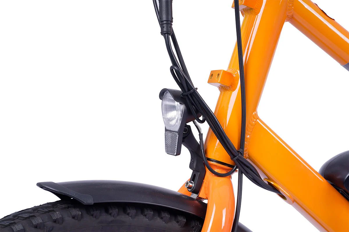 Detail Preview